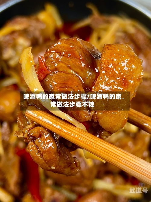 啤酒鸭的家常做法步骤/啤酒鸭的家常做法步骤不辣-第3张图片