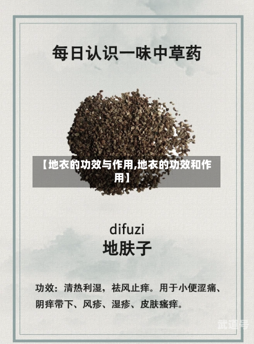 【地衣的功效与作用,地衣的功效和作用】-第1张图片