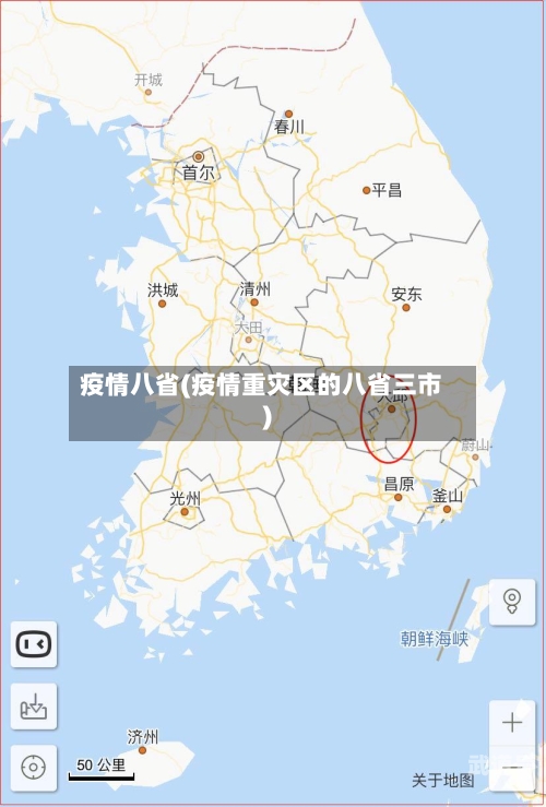 疫情八省(疫情重灾区的八省三市)-第3张图片