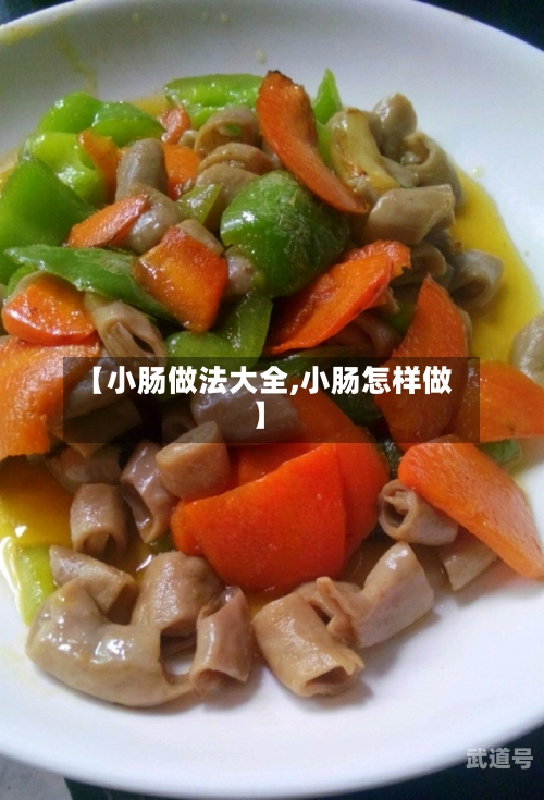 【小肠做法大全,小肠怎样做】-第1张图片