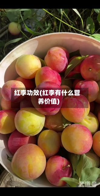 红李功效(红李有什么营养价值)-第1张图片