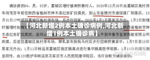 【河北新增2例本土确诊病例,河北新增1例本土确诊病】-第3张图片