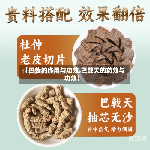 【巴戟的作用与功效,巴戟天的药效与功效】-第2张图片