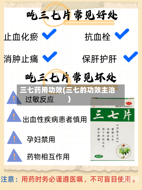 三七药用功效(三七的功效主治)-第1张图片